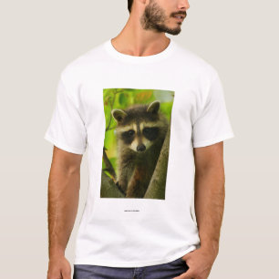 T-shirt Guaxinim