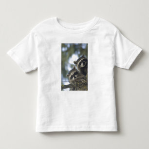 T-shirt Guaxinins Procyon Lotor) do Fish Lake, Central