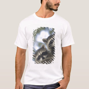 T-shirt Guaxinins Procyon Lotor) do Fish Lake, Central