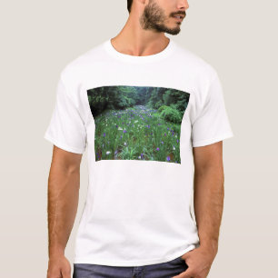 T-shirt Hana Shobu (Íris Aquática Japonesa), Santuário Mei