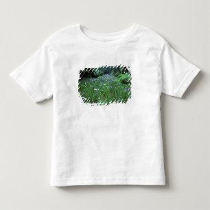 T-shirt Hana Shobu (Íris Japonesa de Água), Santuário Meij