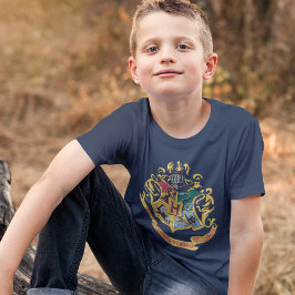 T-shirt Harry Potter | Cobertura Hogwarts - Cor do Cheio