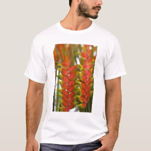 T-shirt Heliconia Pendente, Frutas de terça-feira semanal 