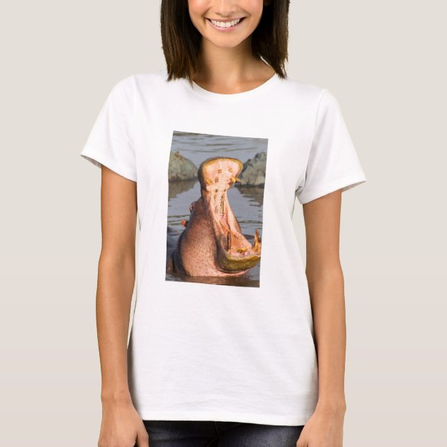T-shirt Hipopótamo bocejando, Tanzânia (Frente)