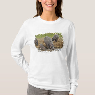 T-shirt Hipopótamo, Hippopotamus amphibius, Serengeti