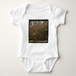 T-shirt Hot Springs National Park, AR Acima da Promenade