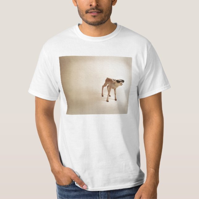 T-shirt I´m mais atraente do que você (Frente)