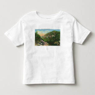 T-shirt Ideia aérea de terras da angra dos peixes, pensã