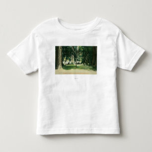 T-shirt Ideia de um acampamento nas sequóias vermelhas