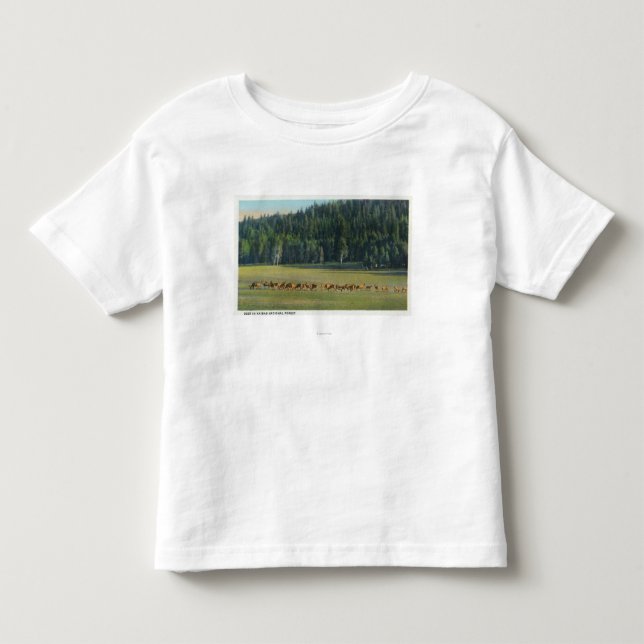 T-shirt Ideia de um bloco dos cervos que pastam (Frente)