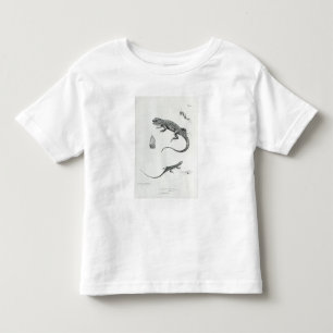 T-shirt Iguana Shingled
