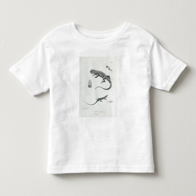 T-shirt Iguana Shingled (Frente)