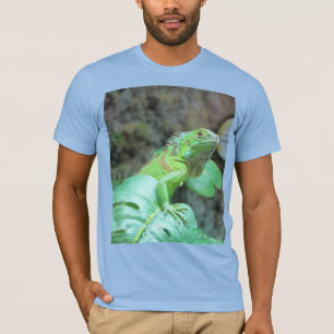 T-Shirt iguana verde