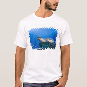 T-shirt Ilhas Cayman, Little Cayman Island, Subaquático 2