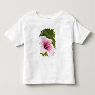 T-shirt Ilhas Cook, Atiu. Flor de Hibiscus.