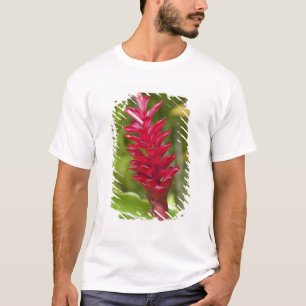 T-shirt Ilhas Fiji, Viti Levu. Flor.