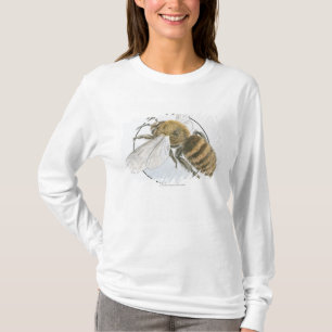 T-shirt Ilustração da abelha européia do mel