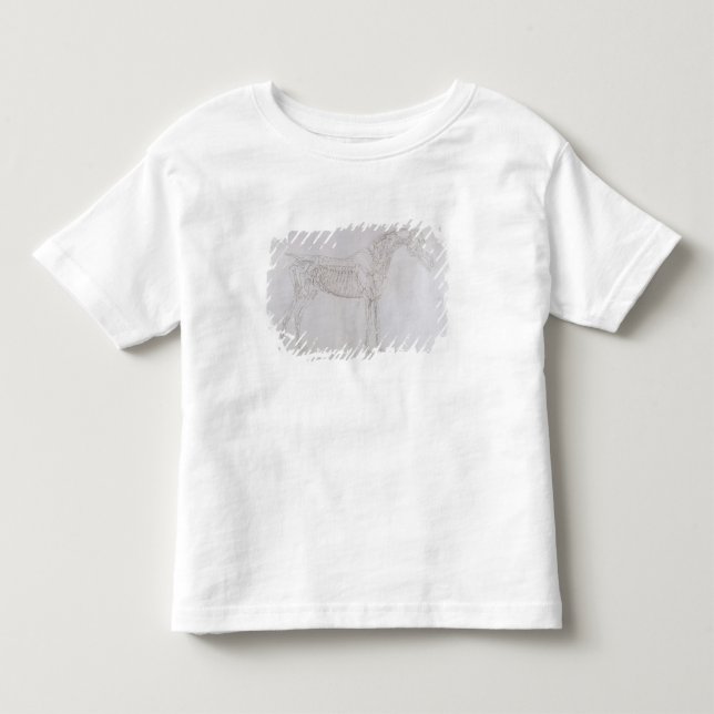 T-shirt Ilustração de George Stubbs | 'da anatomia de (Frente)