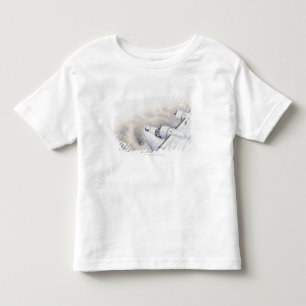 T-shirt Ilustração de um vôo plano acima do wormhole