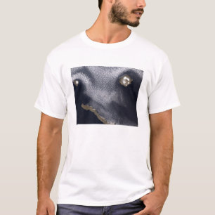 T-shirt Imagem satélite da ilha de Semisopochnoi