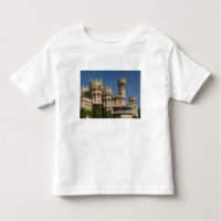 ÍNDIA, Karnataka, Bangalore: Palácio de Bangalore