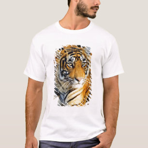T-shirt Índia, Sawai Madhopur, Ranthambore Nacional