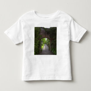 T-shirt Irlanda, o Dromoland Castle muito verde