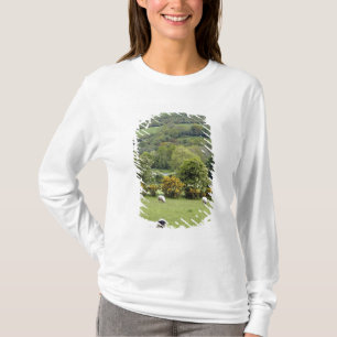 T-shirt Irlanda Ocidental, Península de Dingle, ampla