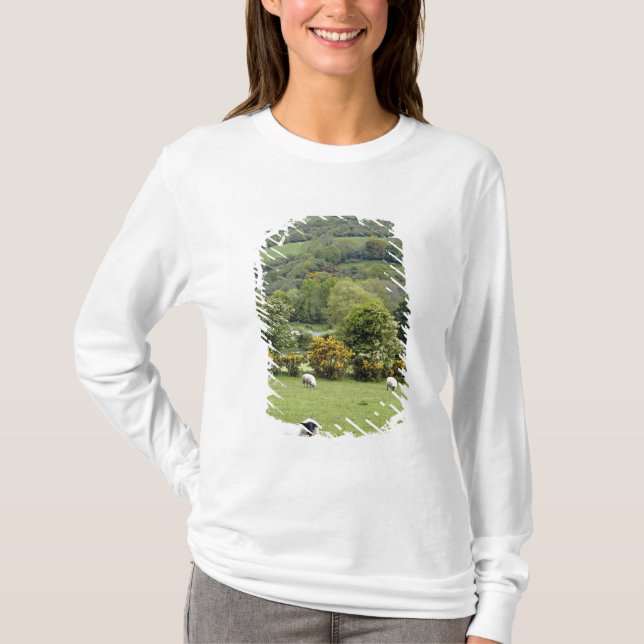 T-shirt Irlanda Ocidental, Península de Dingle, ampla (Frente)