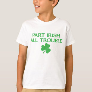 T-shirt irlandês da parte todo o problema