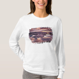 T-shirt Islândia, Lagoa Jokulsarlon, Paisagem