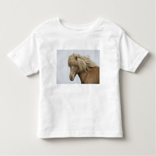 T-shirt Islândia. Retrato de um cavalo islandês.