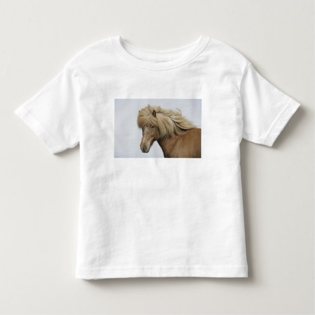 T-shirt Islândia. Retrato de um cavalo islandês. (Frente)