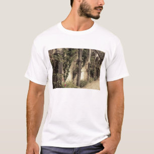 T-shirt Itália, Província de Brescia, Gardone Riviera. Jar