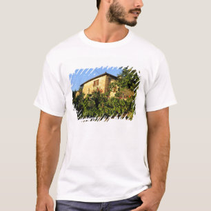 T-shirt Itália, Toscana, Greve. Cenas de vinho no final do