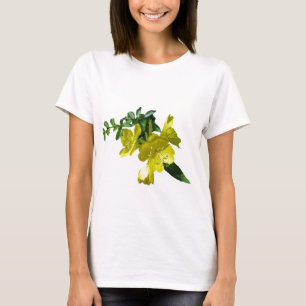 T-shirt Itens de Coordenação de Primários de Depressão
