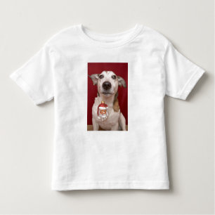 T-shirt Jack Russell Terrier que guardara enfeites de