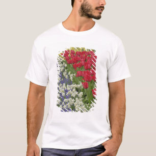 T-shirt Jardim de Tulip e daffodil, Jardins de Keukenhof,