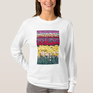 T-shirt jardim de tulipas no vale de Skagit,