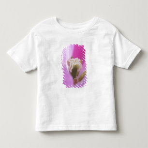 T-shirt Jardins Keukenhof, Holanda, especializa-se em 3