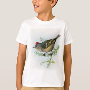 T-shirt Kinglet Rubi-coroado