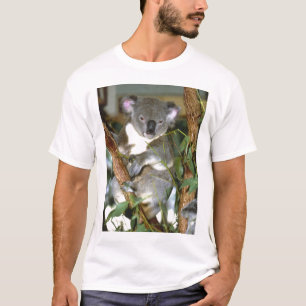 T-shirt koala2