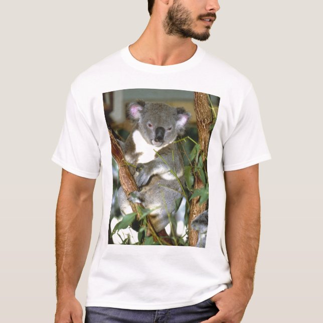 T-shirt koala2 (Frente)