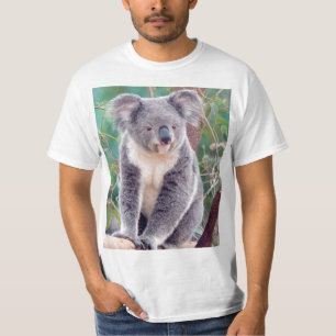 T-shirt Koala australiano