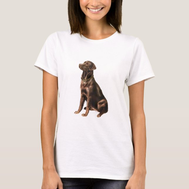T-shirt Labrador Retriever - Chocolate 1 (Frente)