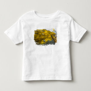 T-shirt Lado sul da Ilha Ewing, Ilhas San Juan,