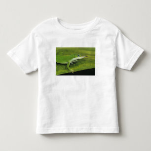 T-shirt Lagarto-verde, Anolis carolinensis, adulto em palm