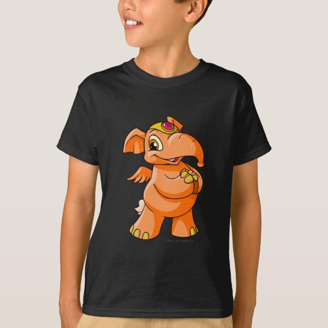T-shirt Laranja de Elephante (Frente)