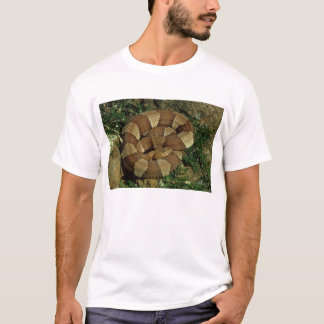 t-shirt largo-unido dos homens do cobra do