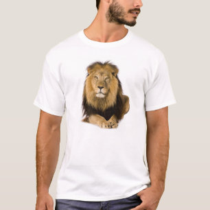 T-shirt Leão